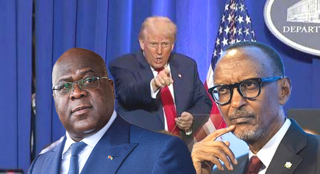 Compress 20250319 125647 7578