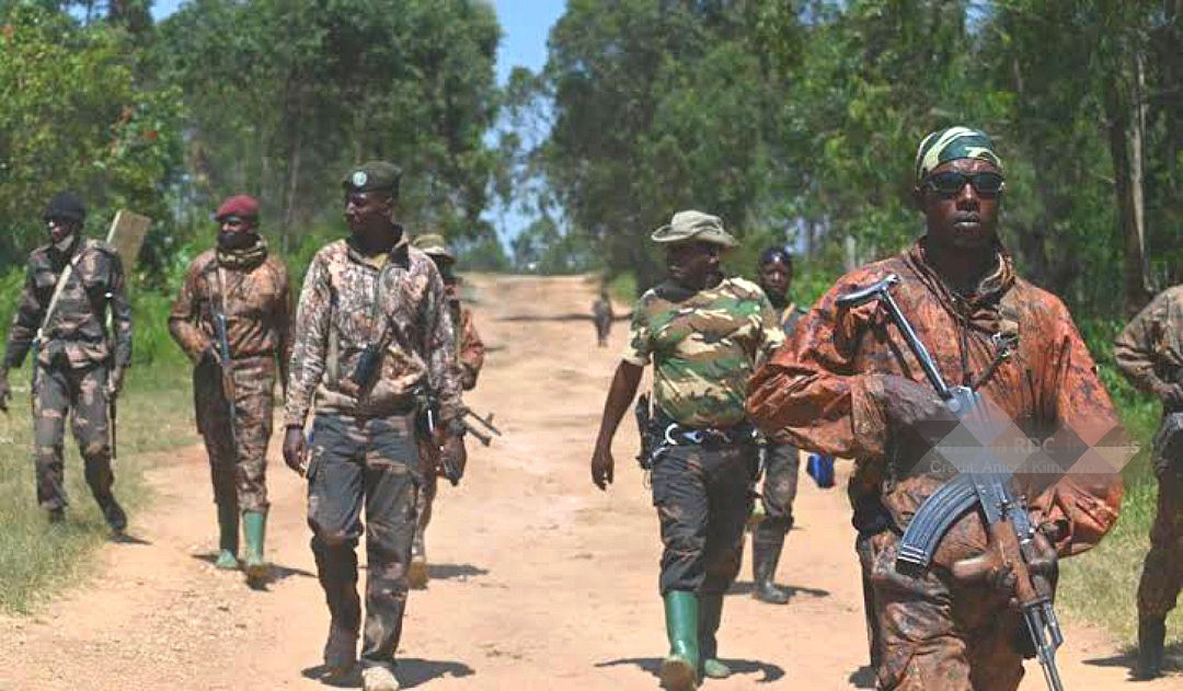 Compress 20250321 100925 5978