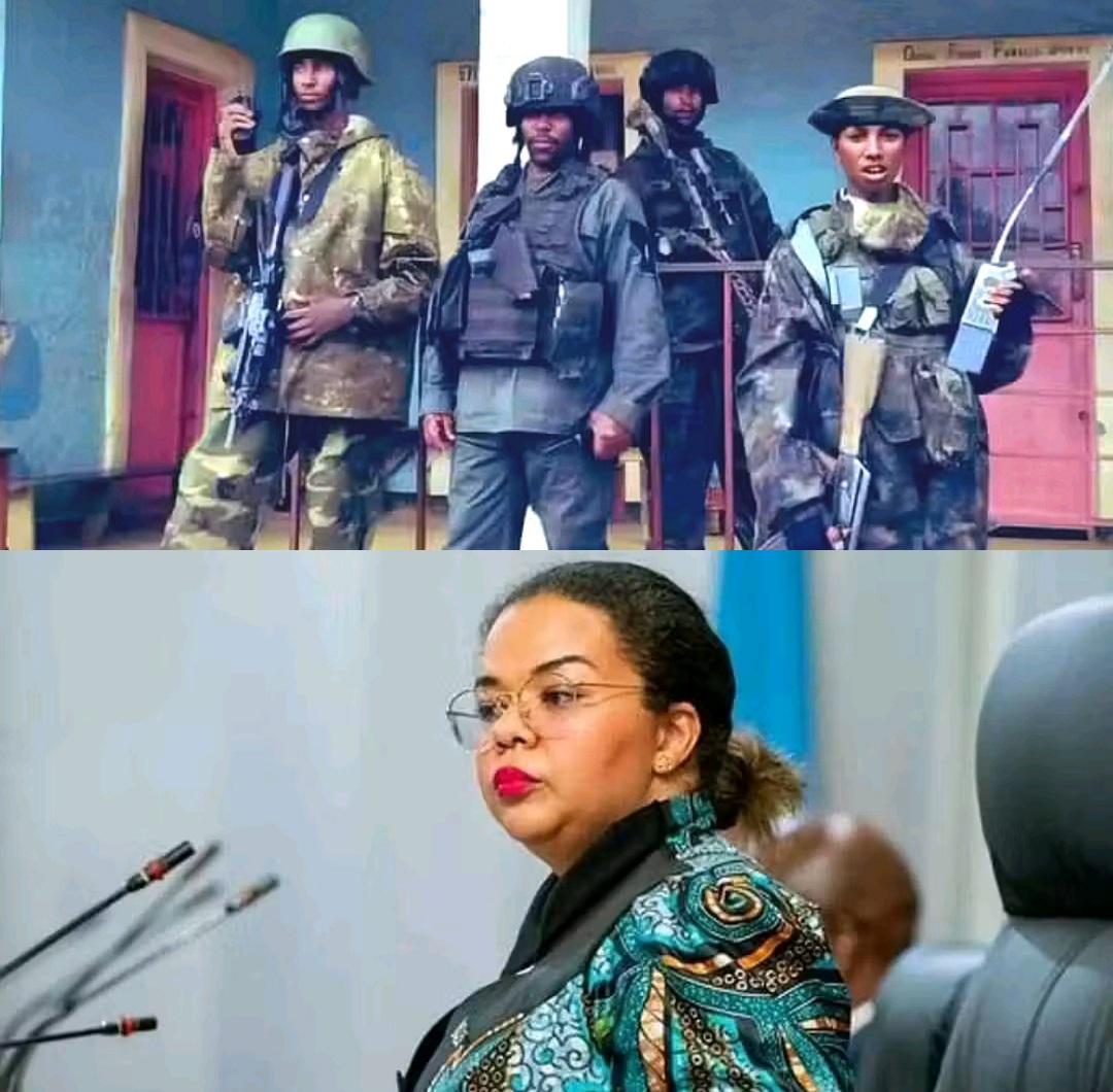 Compress 20250322 203246 6505