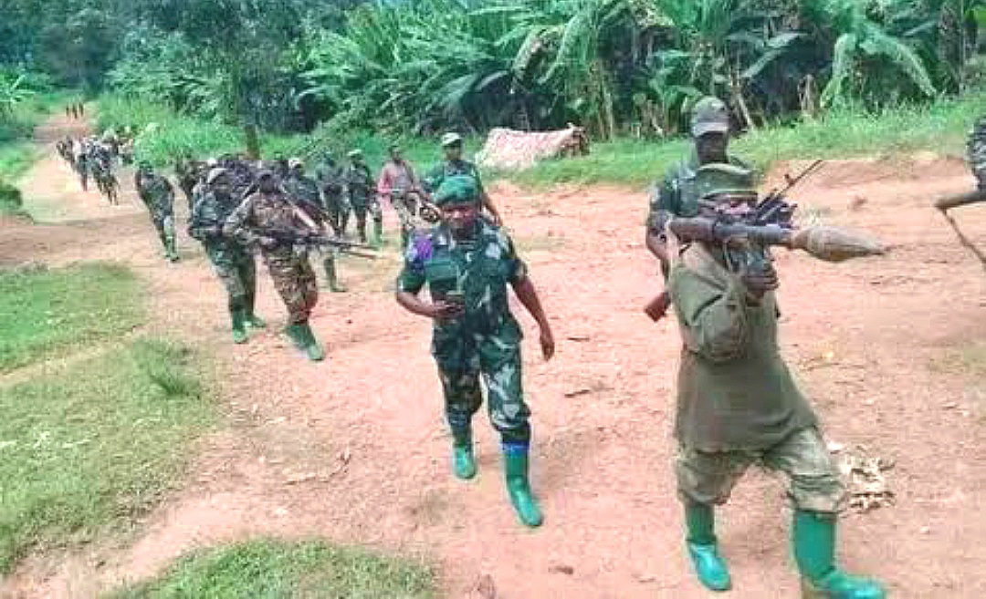 Compress 20250418 072722 2263