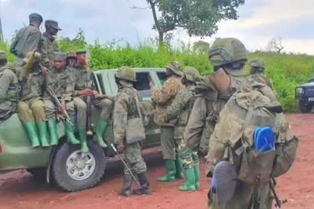 Compress 20250421 174355 5838