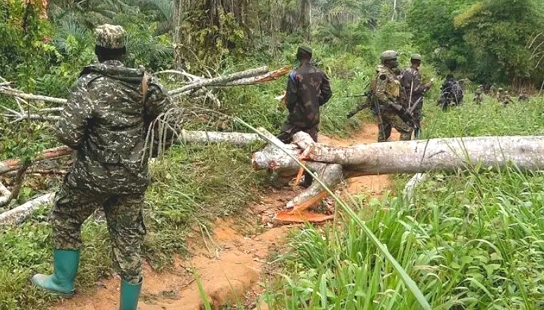 Nord-Kivu : tensions persistantes à Walikale après de combats entre M23 et FARDC 1 Compress 20250423 141135 5177