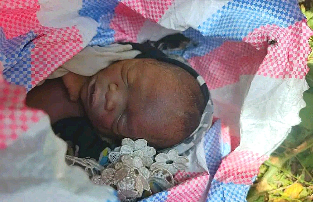 Compress 20250519 134004 4165