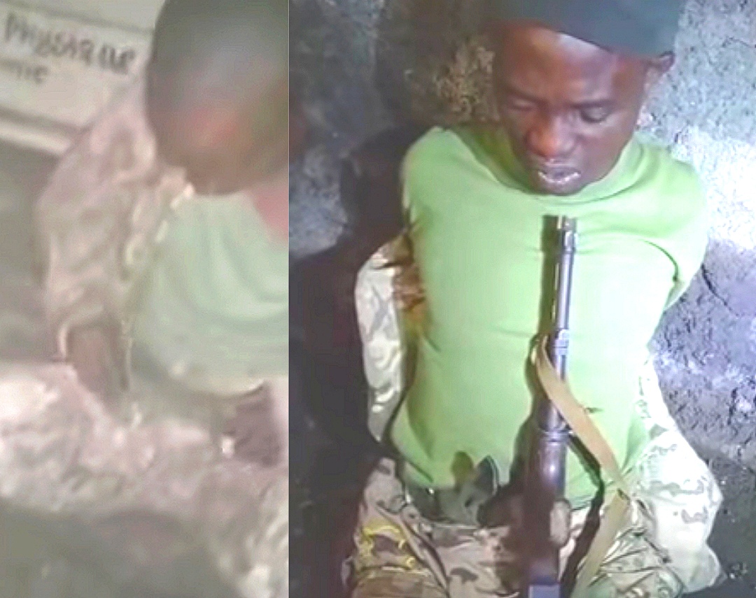 Compress 20250521 201101 1075