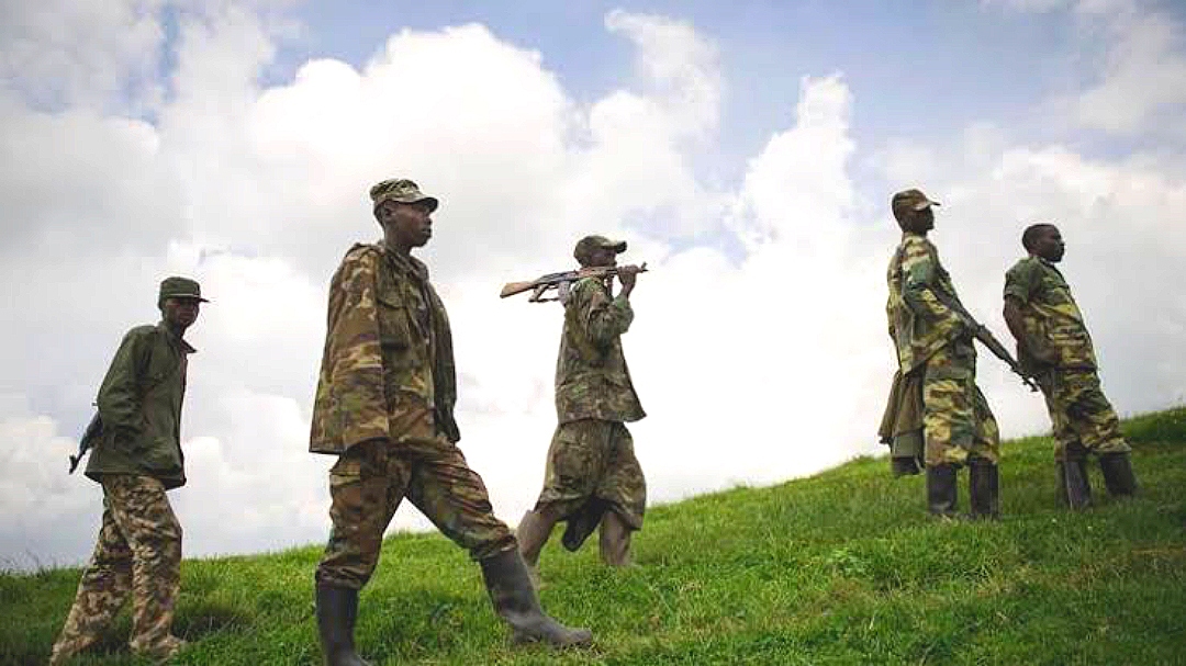 Nord-Kivu : les FARDC gagnent du terrain dans le Walikale, le M23 délogé après des violents combats 1 Compress 20250607 191823 3886